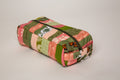 Daffodil Brush Case